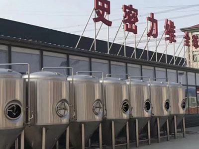 中卫精酿啤酒设备厂—如何判断精酿啤酒设备的密封件需要更换？